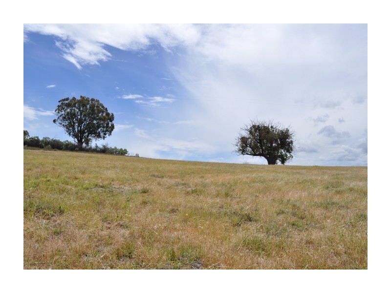 513 Reids Flat Road, Bigga NSW 2583