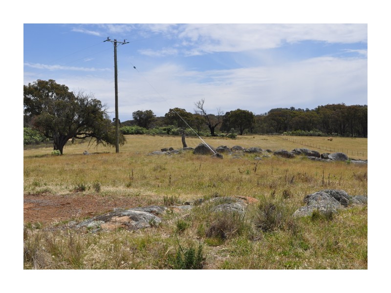 513 Reids Flat Road, Bigga NSW 2583