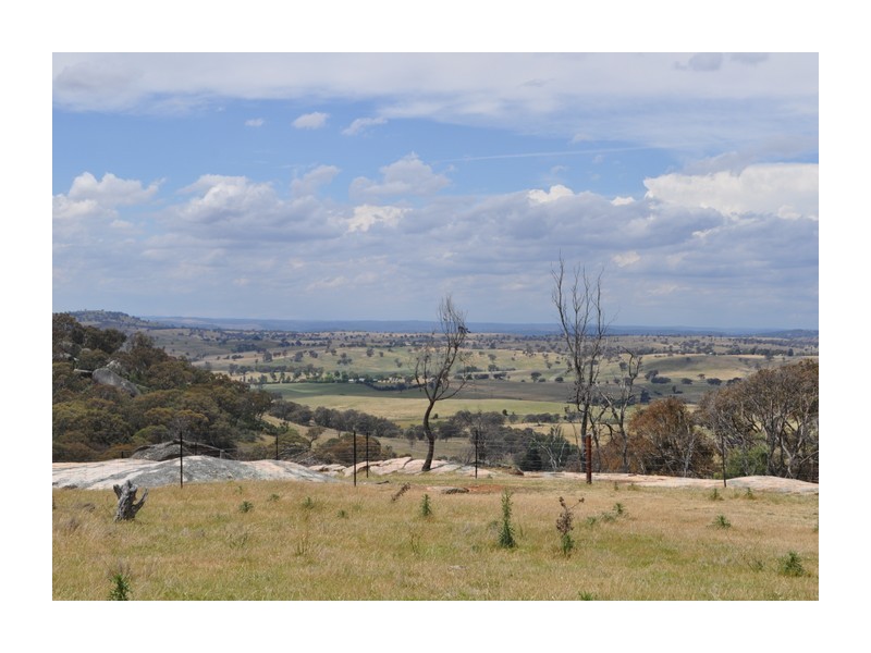 513 Reids Flat Road, Bigga NSW 2583