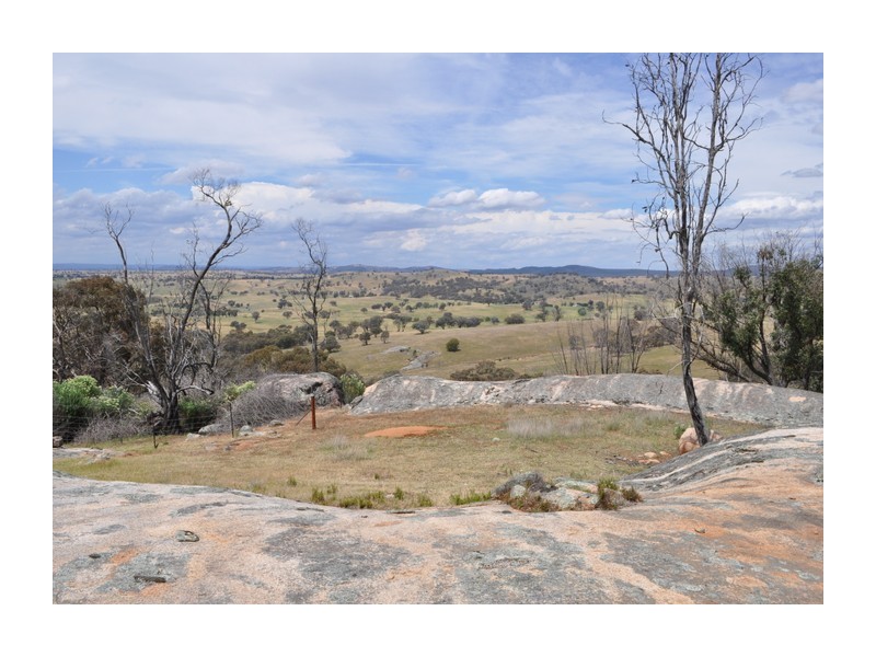 513 Reids Flat Road, Bigga NSW 2583