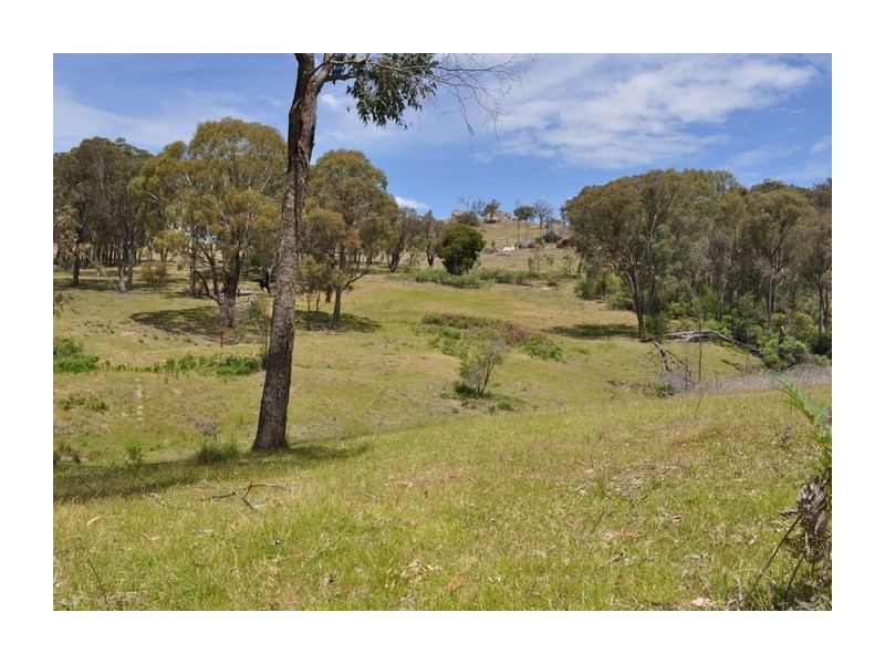513 Reids Flat Road, Bigga NSW 2583