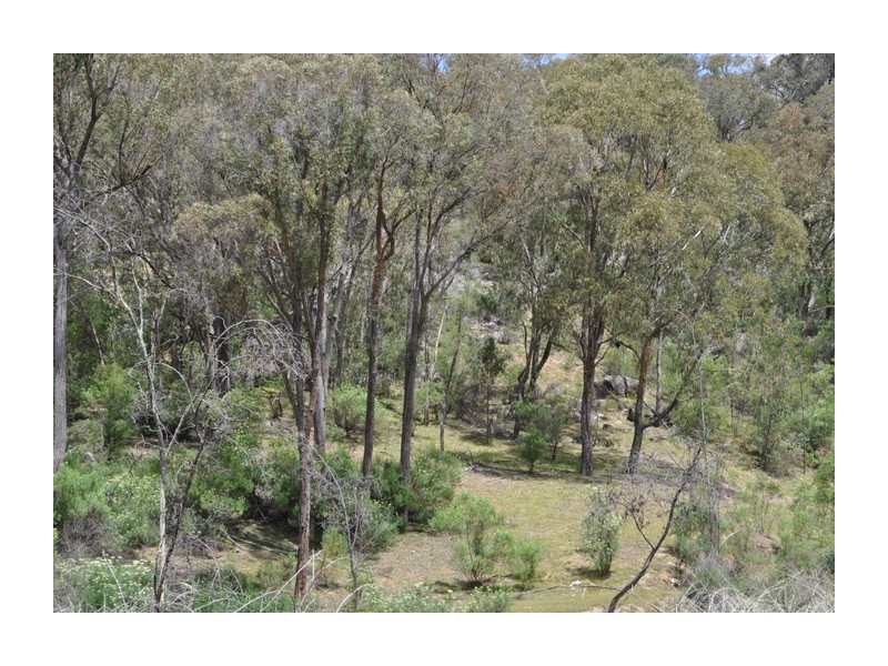 513 Reids Flat Road, Bigga NSW 2583