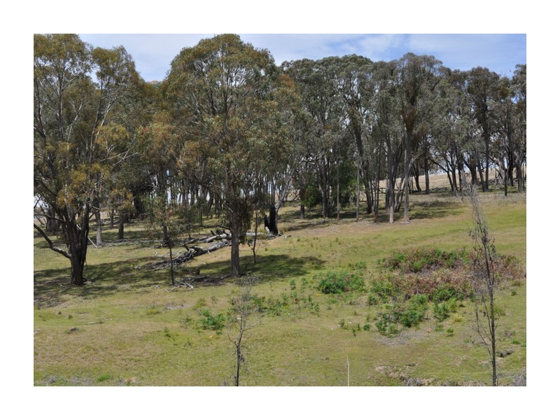 513 Reids Flat Road, Bigga NSW 2583