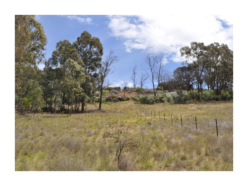 513 Reids Flat Road, Bigga NSW 2583