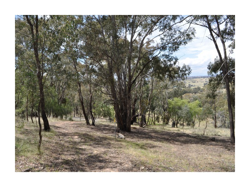 513 Reids Flat Road, Bigga NSW 2583