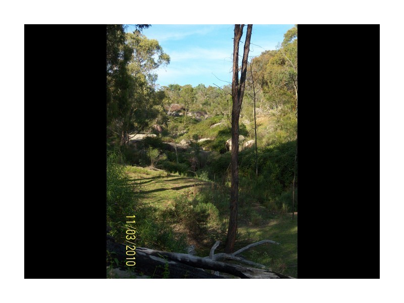 513 Reids Flat Road, Bigga NSW 2583