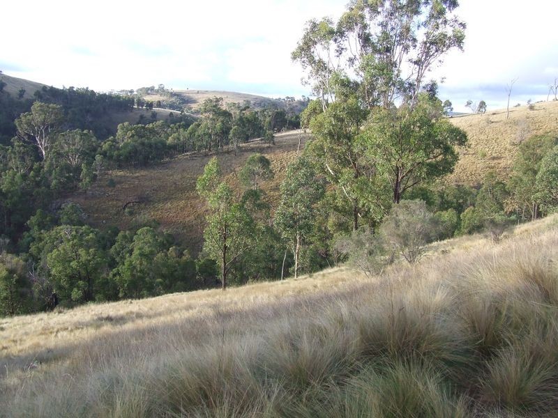 592 Hanworth Road, Bannaby NSW 2580