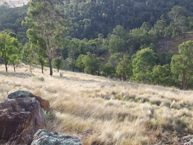 592 Hanworth Road, Bannaby NSW 2580