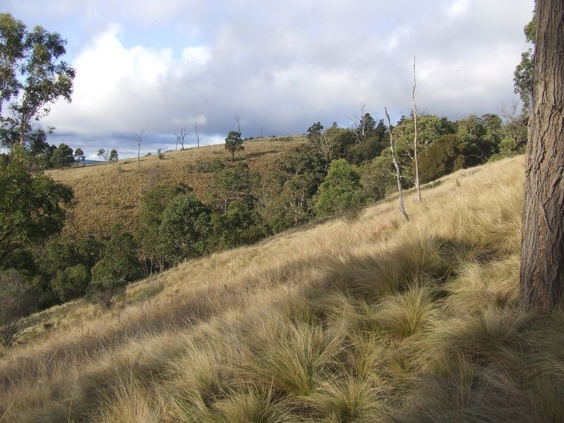 592 Hanworth Road, Bannaby NSW 2580