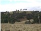 592 Hanworth Road, Bannaby NSW 2580