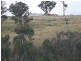 592 Hanworth Road, Bannaby NSW 2580