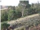 592 Hanworth Road, Bannaby NSW 2580
