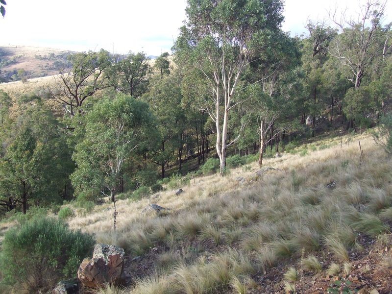 592 Hanworth Road, Bannaby NSW 2580