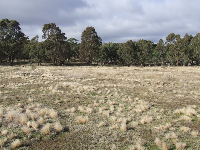 7 Prairie Oak Road, Marulan NSW 2579