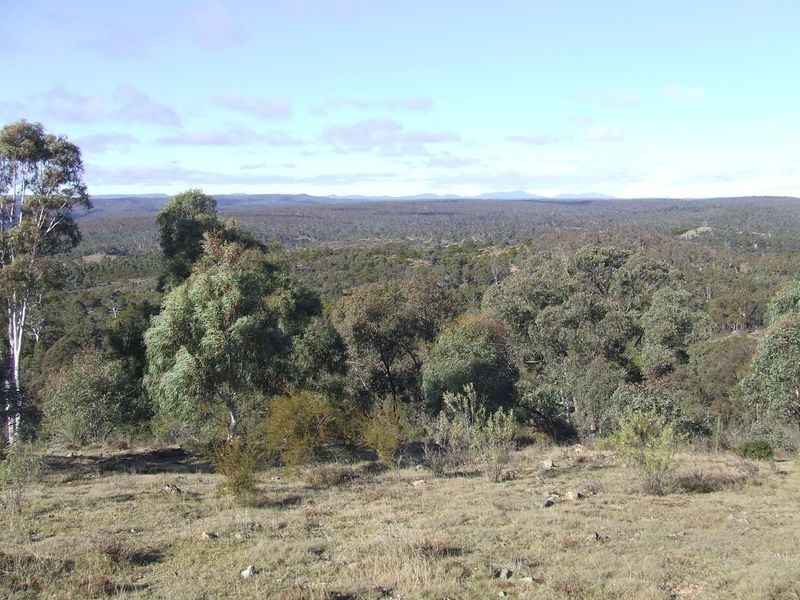 1351 Spa Road, Windellama NSW 2580