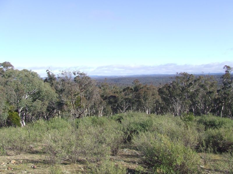1351 Spa Road, Windellama NSW 2580