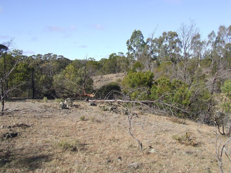 1351 Spa Road, Windellama NSW 2580