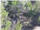 1351 Spa Road, Windellama NSW 2580