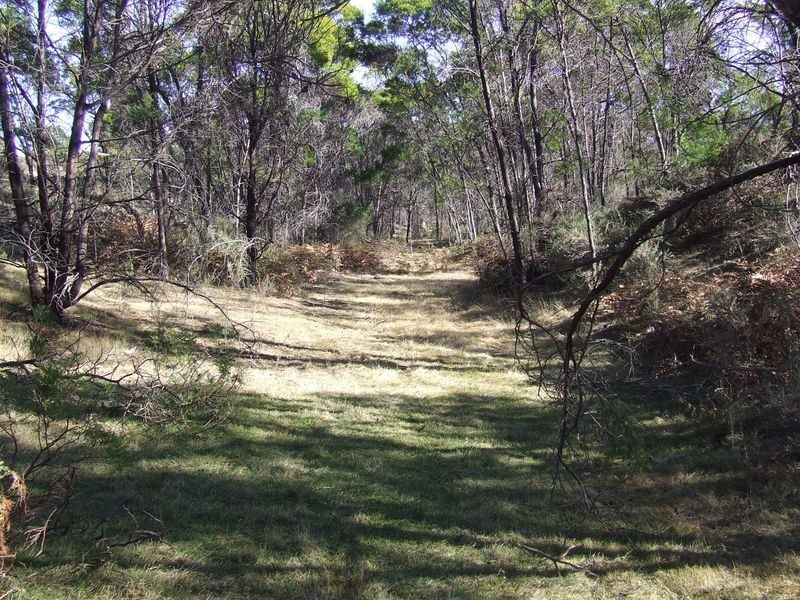 1351 Spa Road, Windellama NSW 2580