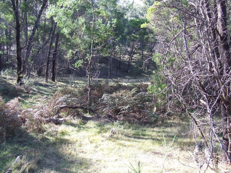 1351 Spa Road, Windellama NSW 2580