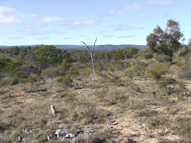 1351 Spa Road, Windellama NSW 2580