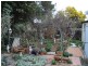 77 Citizen Street, Goulburn NSW 2580