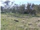1140 Pomeroy Road, Goulburn NSW 2580