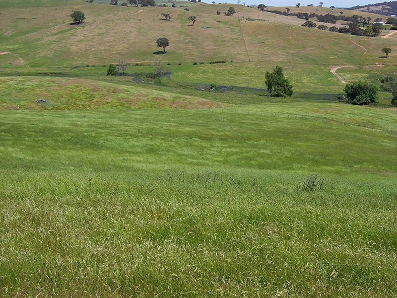 523 Heffernan Lane, Gunning NSW 2581