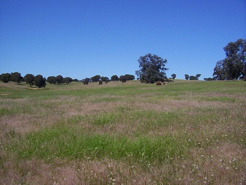 523 Heffernan Lane, Gunning NSW 2581