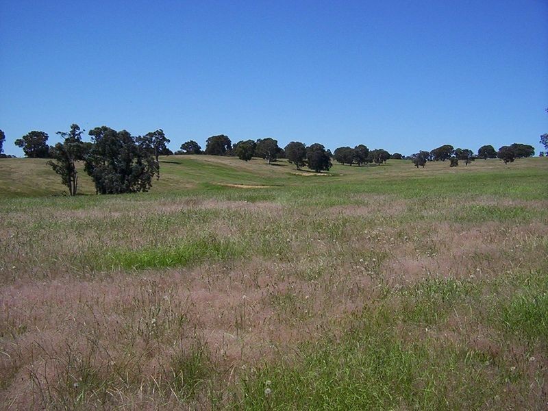 523 Heffernan Lane, Gunning NSW 2581