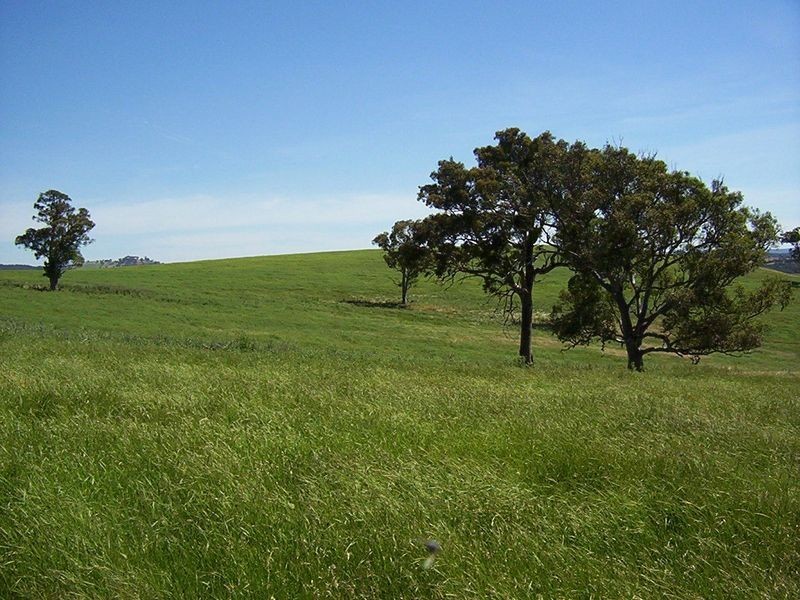 523 Heffernan Lane, Gunning NSW 2581