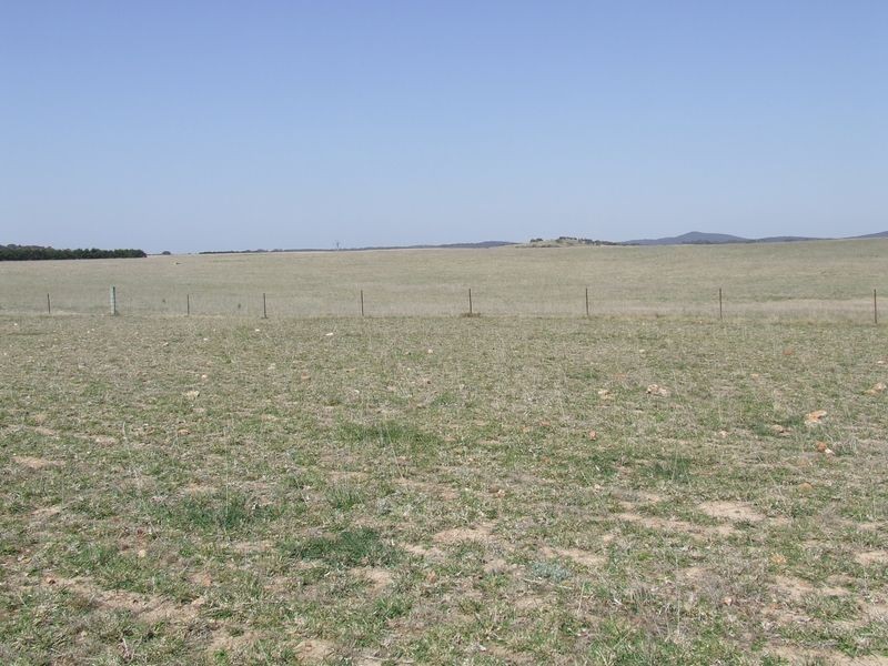 Lot 2 Rotherwood Road, Tarago NSW 2580