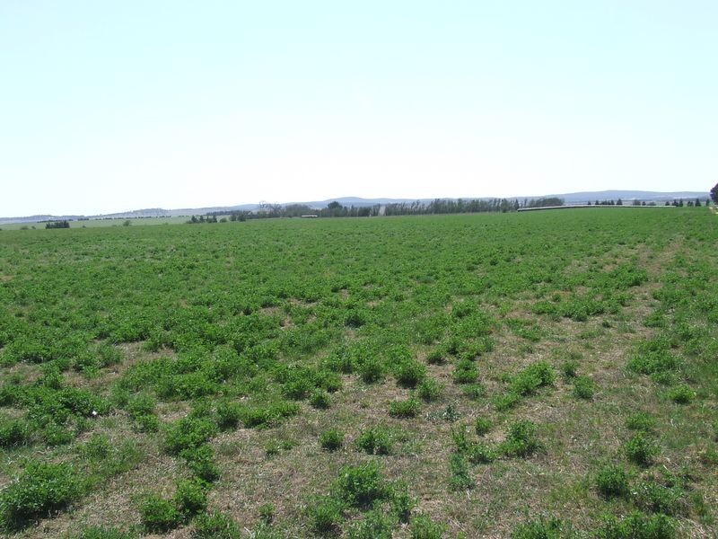 Lots 3-4 Rotherwood Road, Tarago NSW 2580