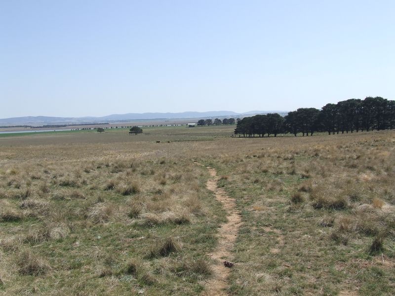 Lots 3-4 Rotherwood Road, Tarago NSW 2580