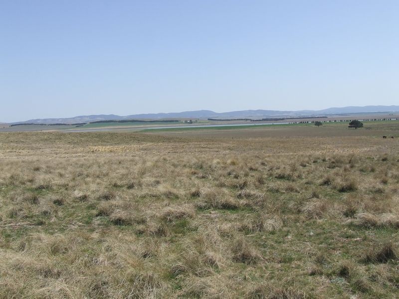 Lots 3-4 Rotherwood Road, Tarago NSW 2580