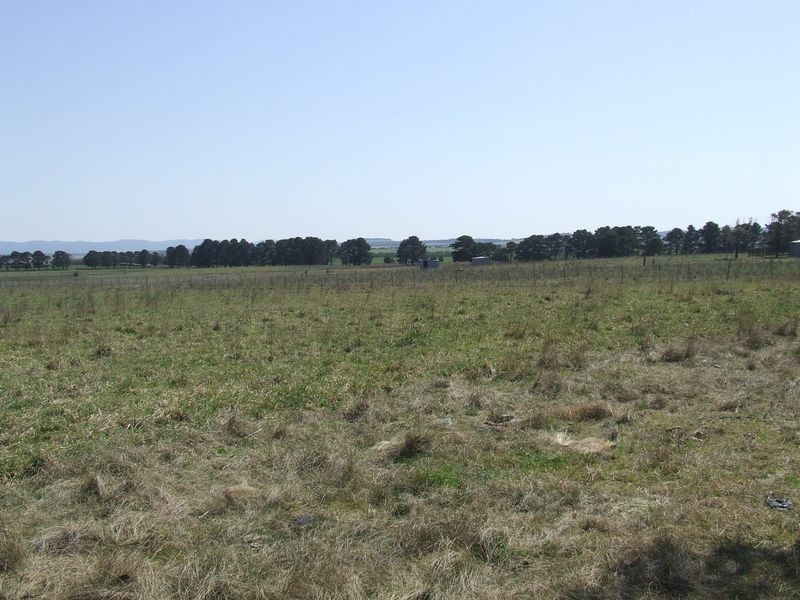 Lots 3-4 Rotherwood Road, Tarago NSW 2580