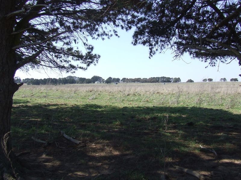 Lots 3-4 Rotherwood Road, Tarago NSW 2580