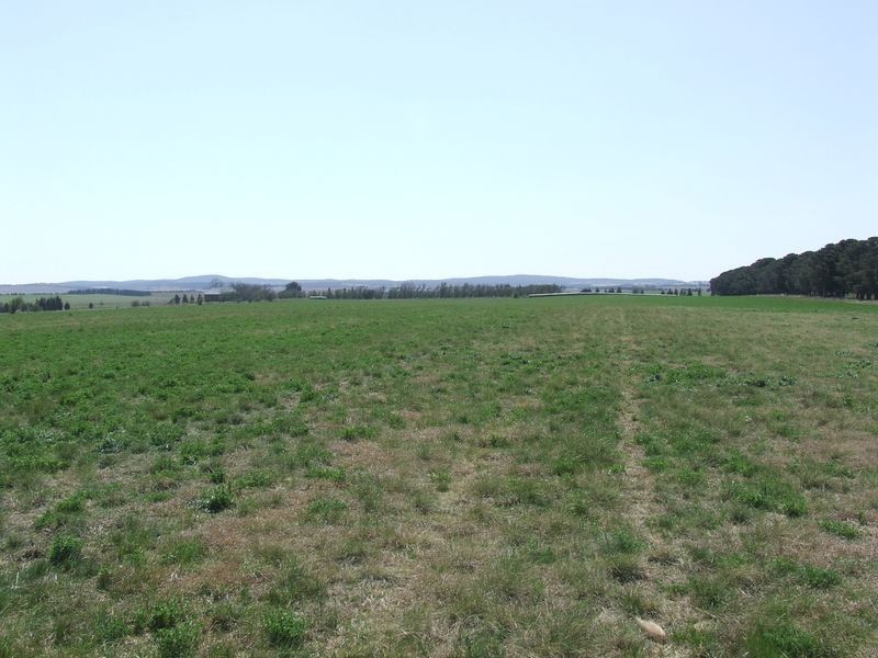 Lots 3-4 Rotherwood Road, Tarago NSW 2580