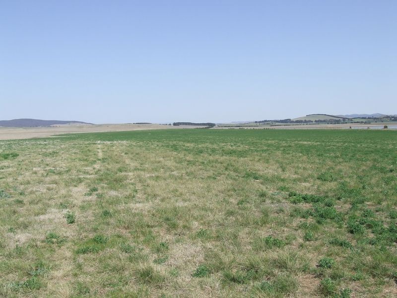 Lots 3-4 Rotherwood Road, Tarago NSW 2580