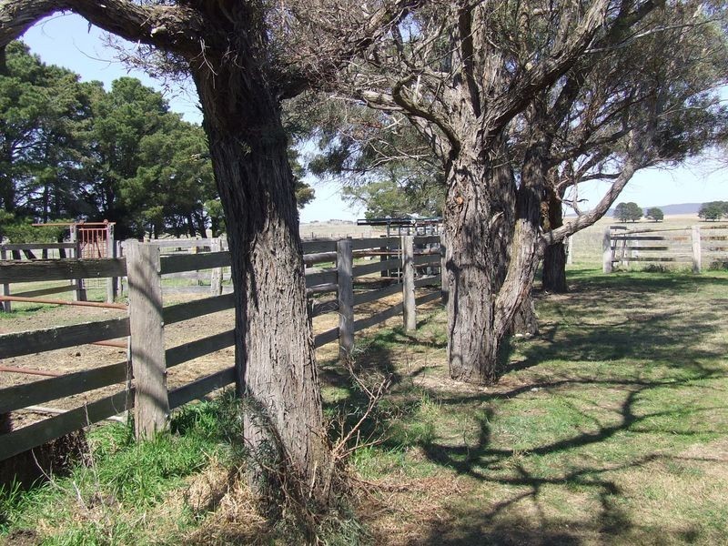 Lots 3-4 Rotherwood Road, Tarago NSW 2580