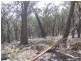 Lot 170 Bannaby Road, Taralga NSW 2580