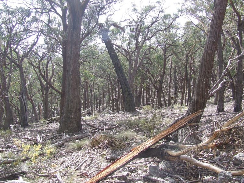 Lot 170 Bannaby Road, Taralga NSW 2580
