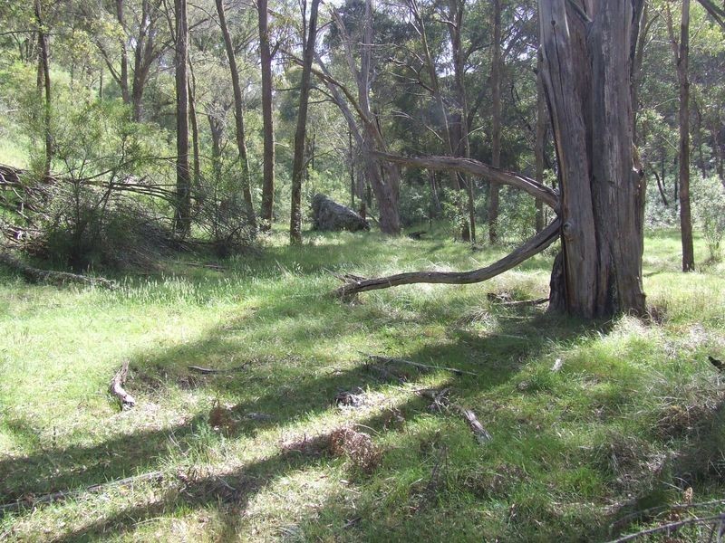 Lot 170 Bannaby Road, Taralga NSW 2580