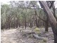 Lot 170 Bannaby Road, Taralga NSW 2580