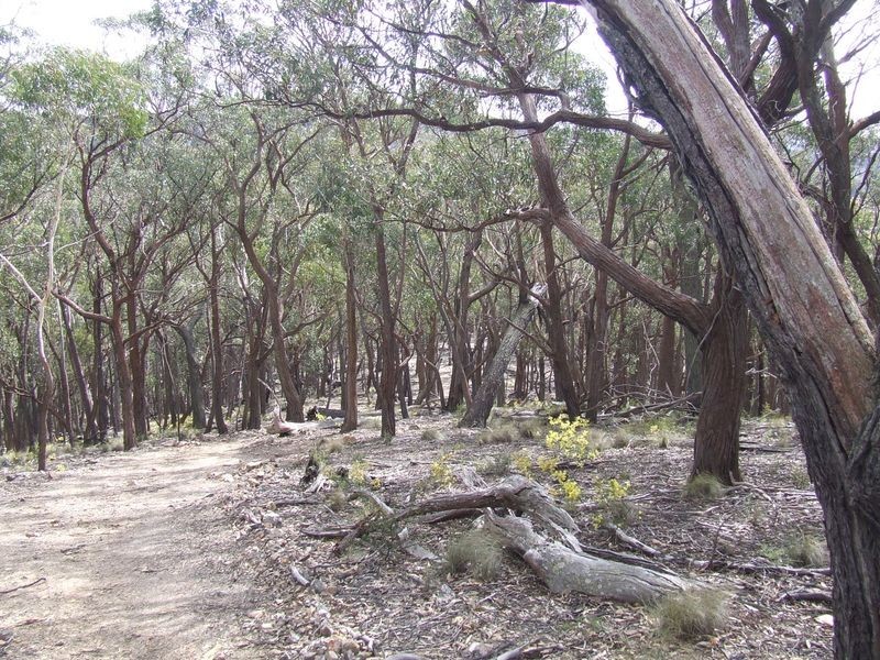 Lot 170 Bannaby Road, Taralga NSW 2580