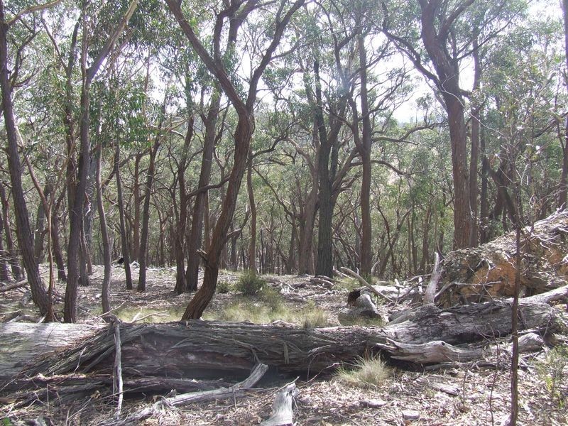 Lot 170 Bannaby Road, Taralga NSW 2580