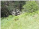 Lot 170 Bannaby Road, Taralga NSW 2580