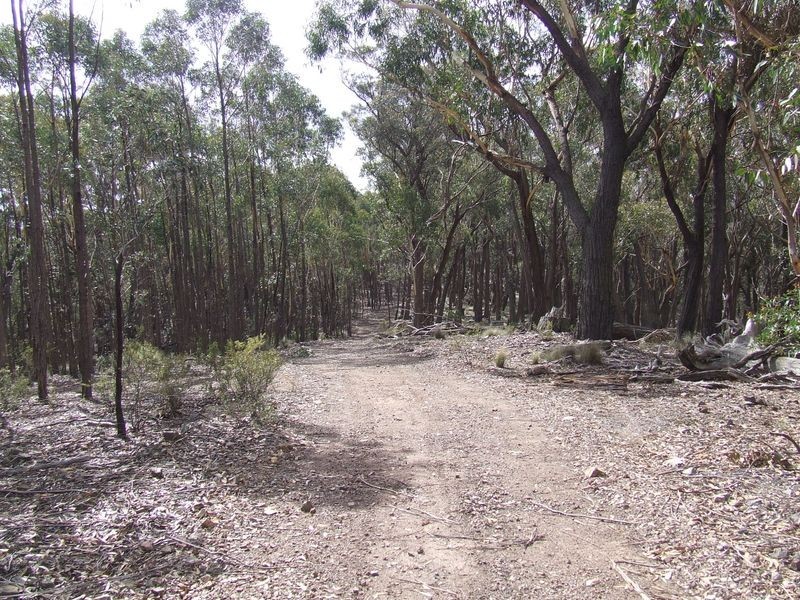 Lot 170 Bannaby Road, Taralga NSW 2580
