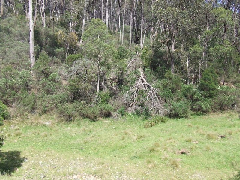 Lot 170 Bannaby Road, Taralga NSW 2580