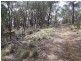 Lot 170 Bannaby Road, Taralga NSW 2580